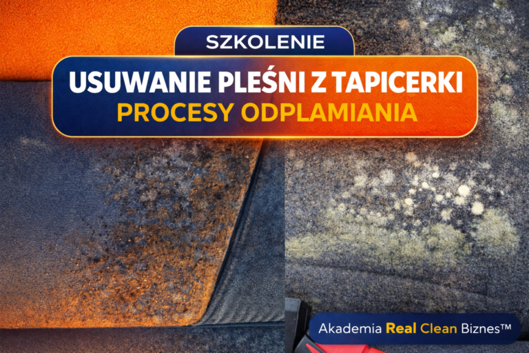 Szkolenie Uzupełniające Usuwanie Pleśni z Tapicerki + Procesy Odplamiania